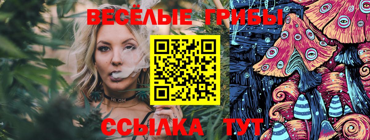 Псилоцибиновые грибы Psilocybe  Вход с VPN  Орёл 